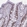 Anti-TEAD4 Antibody
