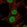 Anti-DHRS12 Antibody