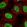 Anti-NAT9 Antibody