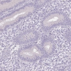 Immunohistochemical staining of human endometrium shows low expression as expected.