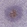 Anti-IL37 Antibody