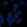 Anti-NCF4 Antibody