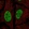 Anti-NICN1 Antibody