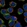 Anti-STAP1 Antibody