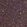 Anti-DOCK10 Antibody