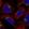 Anti-AP1AR Antibody