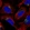 Anti-AP1AR Antibody