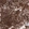 Anti-CD44 Antibody