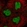 Anti-CXXC5 Antibody