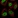 Anti-ABHD8 Antibody