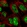 Anti-RNF169 Antibody