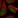 Anti-ZFP64 Antibody