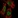 Anti-SETDB1 Antibody