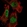 Anti-SETDB1 Antibody