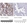 Anti-SLC2A1 Antibody