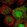 Anti-HEATR3 Antibody