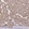 Anti-ELF4 Antibody