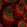 Anti-DCPS Antibody