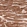 Anti-TNNT2 Antibody