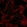 Anti-EIF4E3 Antibody