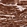 Anti-TNNT2 Antibody