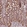Anti-SEL1L3 Antibody