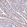 Anti-SAMD13 Antibody
