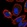 Anti-ZDHHC7 Antibody