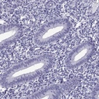 Immunohistochemical staining of human endometrium shows low expression as expected.
