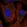 Anti-PCDHA6 Antibody