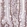 Anti-SREK1 Antibody