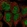 Anti-HIC2 Antibody