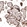 Anti-WNT5A Antibody
