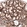 Anti-WNT5A Antibody