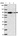 Anti-ALDH16A1 Antibody