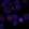 Anti-CT55 Antibody