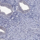 Immunohistochemical staining of human endometrium shows low expression as expected.