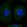 Anti-AMIGO2 Antibody