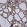 Anti-IYD Antibody