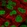 Anti-ZNF420 Antibody
