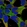 Anti-FNDC8 Antibody