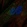 Anti-IGFBP5 Antibody