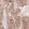 Anti-LGR5 Antibody