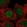 Anti-CBFA2T3 Antibody