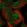 Anti-IMP3 Antibody
