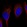 Anti-GDF11 Antibody