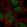 Anti-CTR9 Antibody