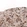 Anti-ADAM10 Antibody