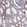 Anti-BICDL1 Antibody