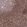 Anti-C19orf53 Antibody